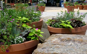 Philadelphia Plaza street planters