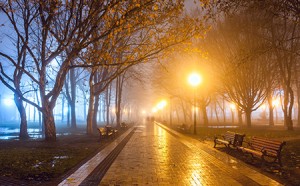 City park at night