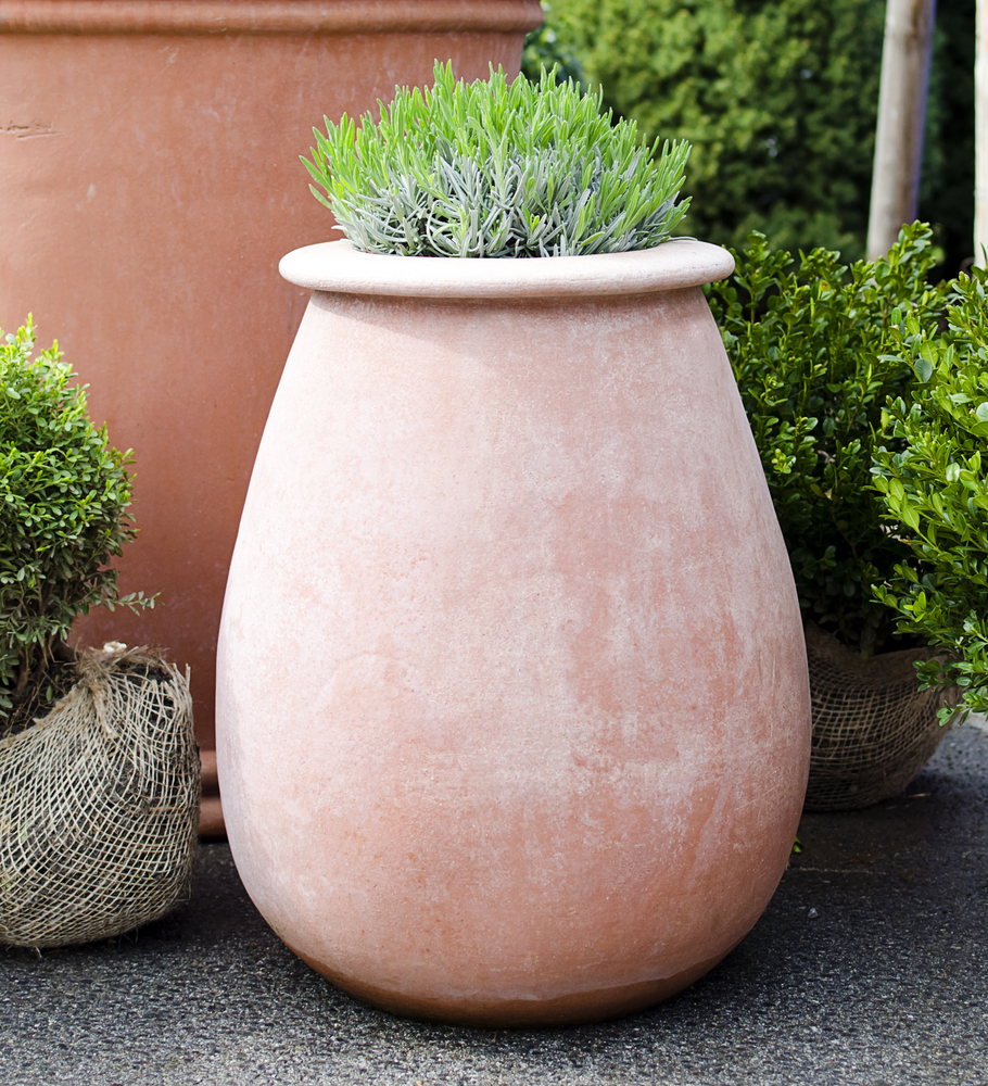 15 Tips For Extra Large Potted Plants