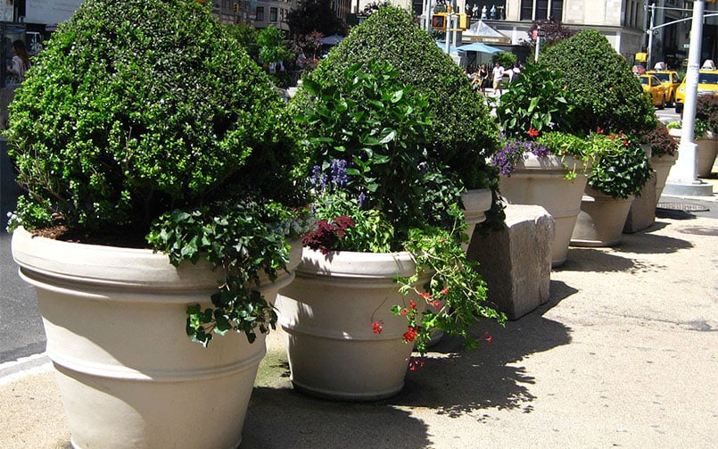 Extra-large Lightweight Planters—Where to Get Them & Benefits They