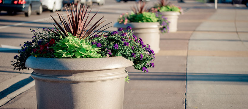 5 Tips to Make Planters Fuller and More Beautiful - TerraCast Products